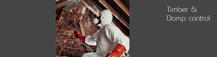 Timber and Damp Control